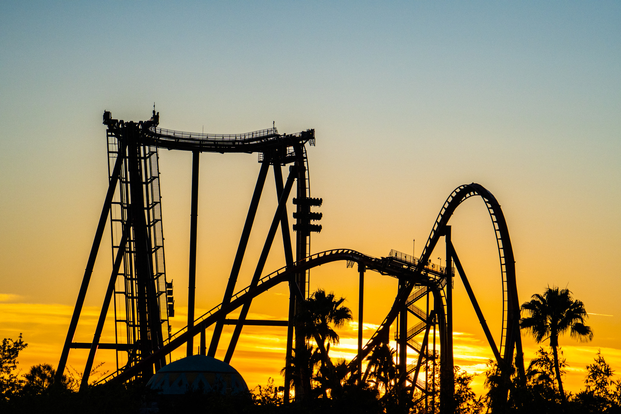 Summer at Busch Gardens Parks