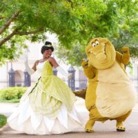 Tiana’s Bayou Adventure