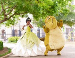 Tiana’s Bayou Adventure