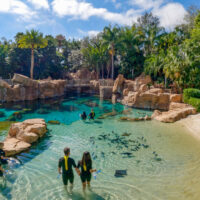 Discovery Cove