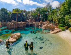 Discovery Cove