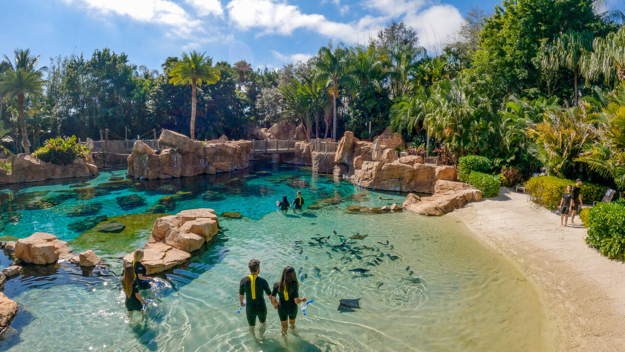 Discovery Cove